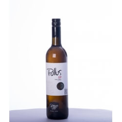 Vin blanc slovène sec - Podravje Region - Ptujska Klet - Cuvée Pullus - Pinot Gris