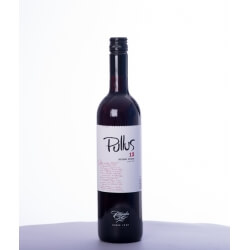 Vin rouge slovène - Podravje Region - Ptujska Klet - Cuvée Pullus - Pinot Noir