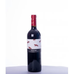 Vin rouge espagnol bio - DOQ Priorat - Clos Galena - Cuvée Formiga de Vellut