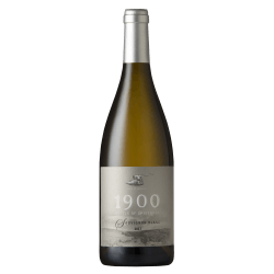 Vin blanc sud-africain sec - Elgin Valley (Overberg) - Spioenkop - Sauvignon Blanc